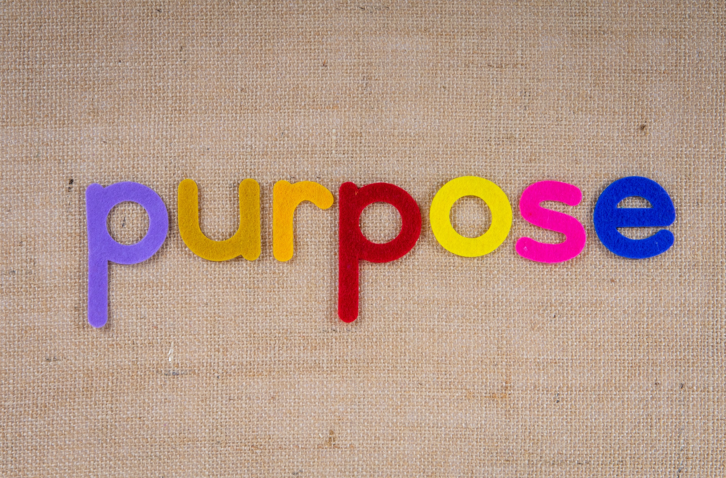 finding purpose as an expat_expat nest